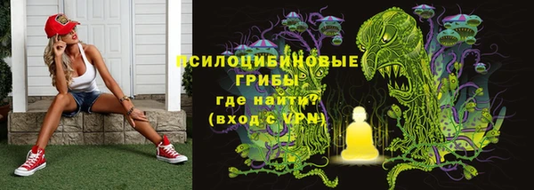 гашик Нефтекумск