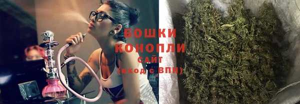 крисы Абдулино